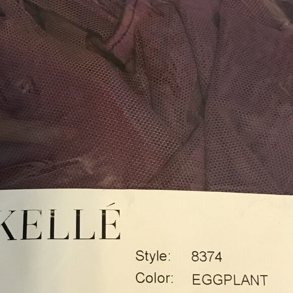 Kelle CM Costume Mesh Dress with Solid Top/Brief NWOT - Picture 4 of 4